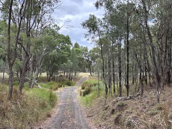 2875 Newell Highway Rocky Glen NSW 2357 - Image 3