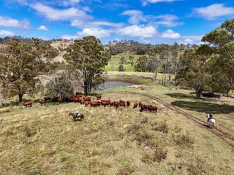 256 Paradise Road Mount Sylvia QLD 4343 - Image 2