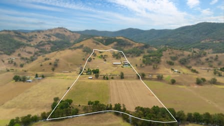 1664 Ogunbil Road Ogunbil NSW 2340 - Image 3