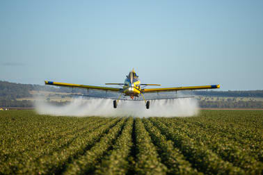 Breeza NSW 2381 - Image 1