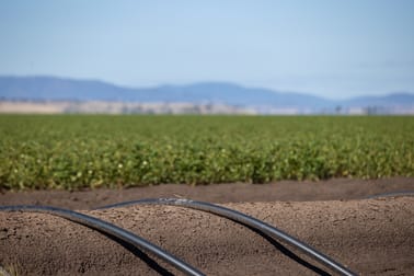 Breeza NSW 2381 - Image 3