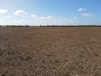 Lot 1 Schulzs Road Black Hill SA 5353 - Image 2