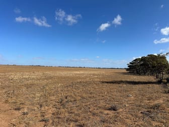 Lot 1 Schulzs Road Black Hill SA 5353 - Image 3