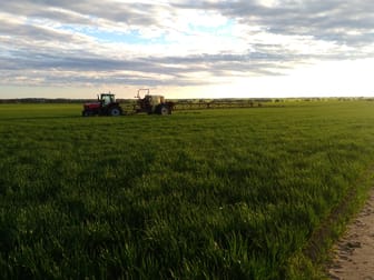 1100 Propodollah Road Nhill VIC 3418 - Image 2