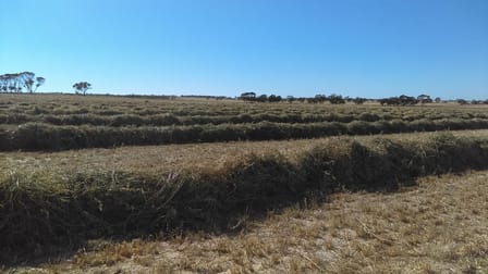 1100 Propodollah Road Nhill VIC 3418 - Image 3