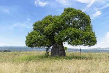 242 Reidy's Road Wooroonden QLD 4605 - Image 3