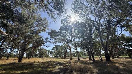 Allotment/2 V&A Lane Penola SA 5277 - Image 3