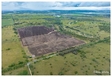 253 Hunt Road Alton Downs QLD 4702 - Image 1