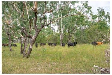 253 Hunt Road Alton Downs QLD 4702 - Image 2