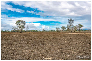 253 Hunt Road Alton Downs QLD 4702 - Image 3