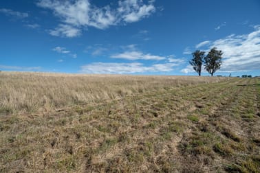614 Peabody Road Molong NSW 2866 - Image 3