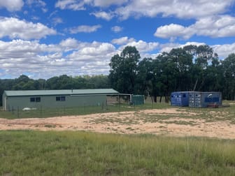 122 Dows Lane Coonabarabran NSW 2357 - Image 2