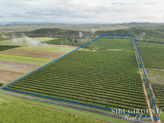 Click to view all images 263/71 Gilmore Mareeba QLD 4880 - Image 1