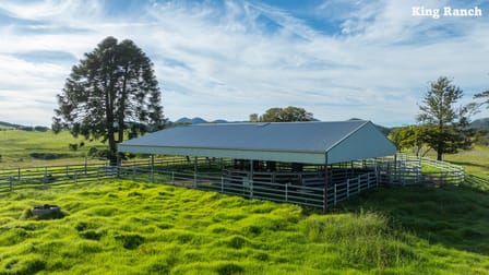 "King Ranch" 481 Upper Bobo Road Coffs Harbour NSW 2450 - Image 3