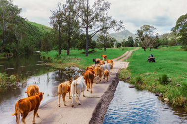 Click to view all images 466 Sarabah Road Sarabah QLD 4275 - Image 2