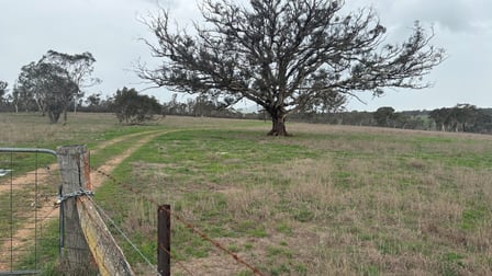 Click to view all images 111 Farringdon Road Braidwood NSW 2622 - Image 1