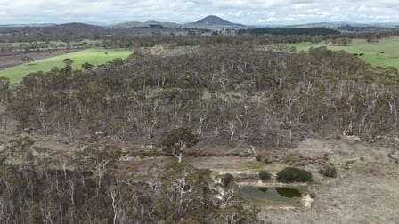 Click to view all images 111 Farringdon Road Braidwood NSW 2622 - Image 3