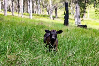 Click to view all images 760 Old Dyraaba Road Woodview NSW 2470 - Image 1