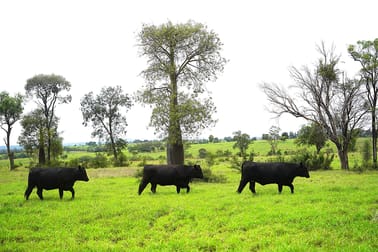 Billabong, Orallo Road Roma QLD 4455 - Image 1