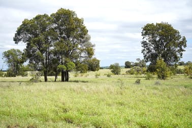 Billabong, Orallo Road Roma QLD 4455 - Image 3