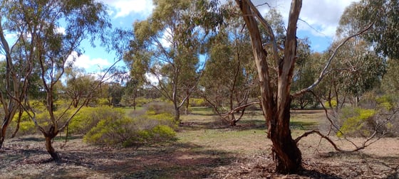 Wedderburn VIC 3518 - Image 1