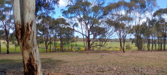 Wedderburn VIC 3518 - Image 3