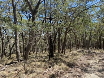 Lot 156-159 Prince of Wales Terrace Riddells Creek VIC 3431 - Image 3
