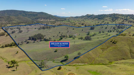 1993 Glendonbrook Road Gresford NSW 2311 - Image 2