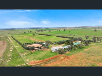 "La Trinidad" Tamworth NSW 2340 - Image 1