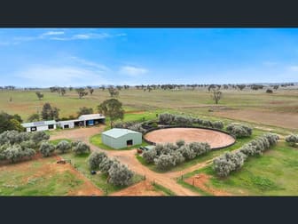 "La Trinidad" Tamworth NSW 2340 - Image 3