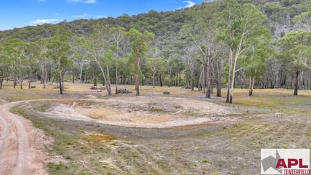 1224 Mount Mckenzie Road Tenterfield NSW 2372 - Image 3