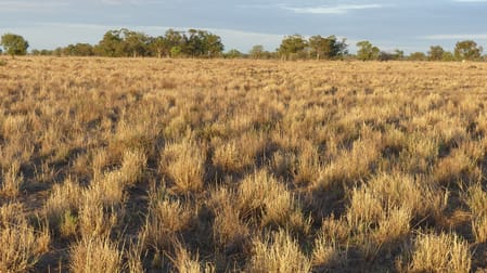Warren NSW 2824 - Image 2