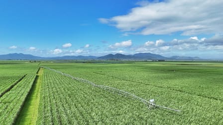 214 Kennys Road Marian QLD 4753 - Image 2