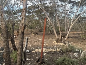 385 Pipeline Road Fisher SA 5354 - Image 3