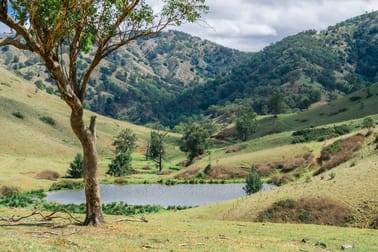 1746 Stewarts Brook Rd Stewarts Brook NSW 2337 - Image 1