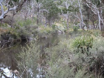 1521 Morven Road Dundee NSW 2370 - Image 1