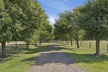 1600 Williams Road Simpson VIC 3266 - Image 2