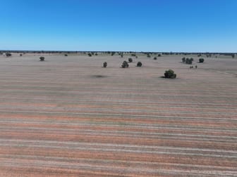 Shannonvale & Elmore Strontian Road Boree Creek NSW 2652 - Image 2