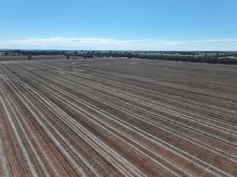 Shannonvale & Elmore Strontian Road Boree Creek NSW 2652 - Image 3