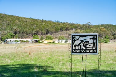 1235 Kangarooby Road Gooloogong NSW 2805 - Image 1