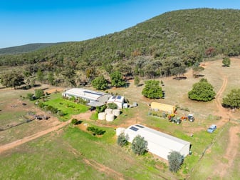 1235 Kangarooby Road Gooloogong NSW 2805 - Image 2