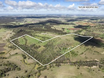 55 Coolgardie Road Doctor Creek QLD 4352 - Image 3