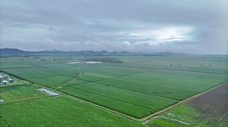 132 Stayts Road Marian QLD 4753 - Image 2