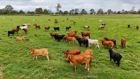 288 Round Mountain Road Laravale QLD 4285 - Image 3