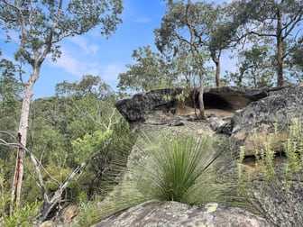 112 Finchley Track Laguna NSW 2325 - Image 2