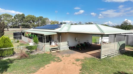 Killarney East/701 Pretty Pine Road Deniliquin NSW 2710 - Image 2