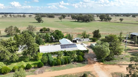 Killarney/725 Pretty Pine Road Deniliquin NSW 2710 - Image 1