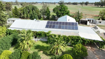 Killarney/725 Pretty Pine Road Deniliquin NSW 2710 - Image 2