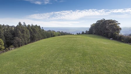 31 Bowden Spur Road Kinglake VIC 3763 - Image 3