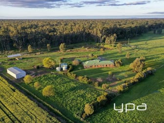 17 Meadow Drive Toolamba VIC 3614 - Image 1